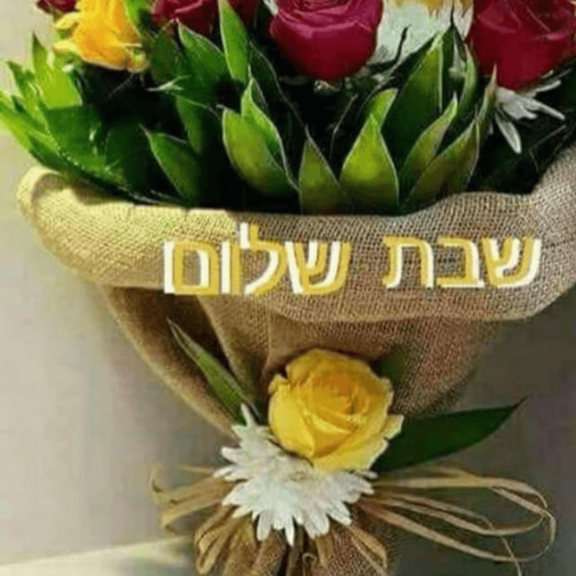 פנינה יוסף